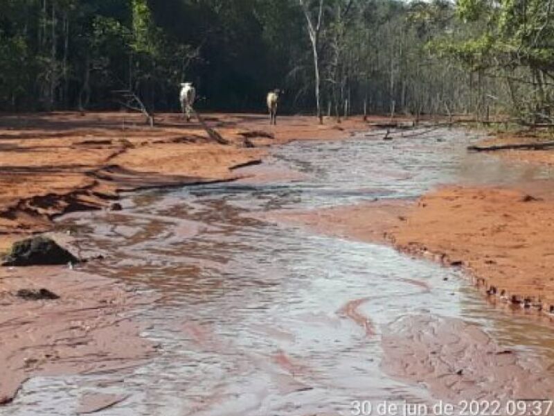 Fazendeiro De Anos Multado Em R Mil Por Degradar C Rregos No