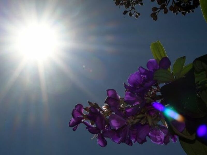 Semana Come A Calor Mas Tem Previs O De Chuva E Frio Na Ter A