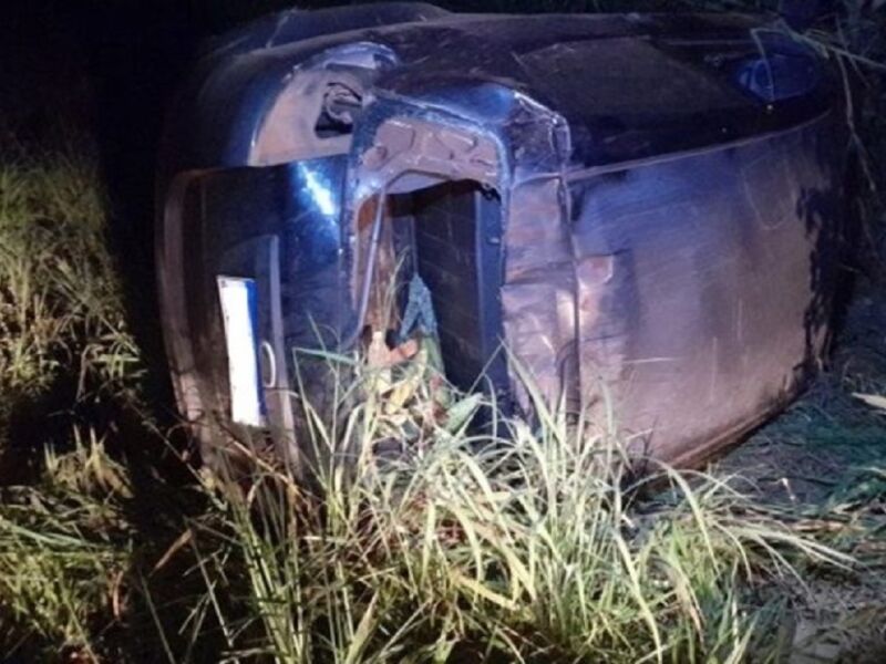 Motorista escapa da morte após desviar de anta e capotar carro na BR