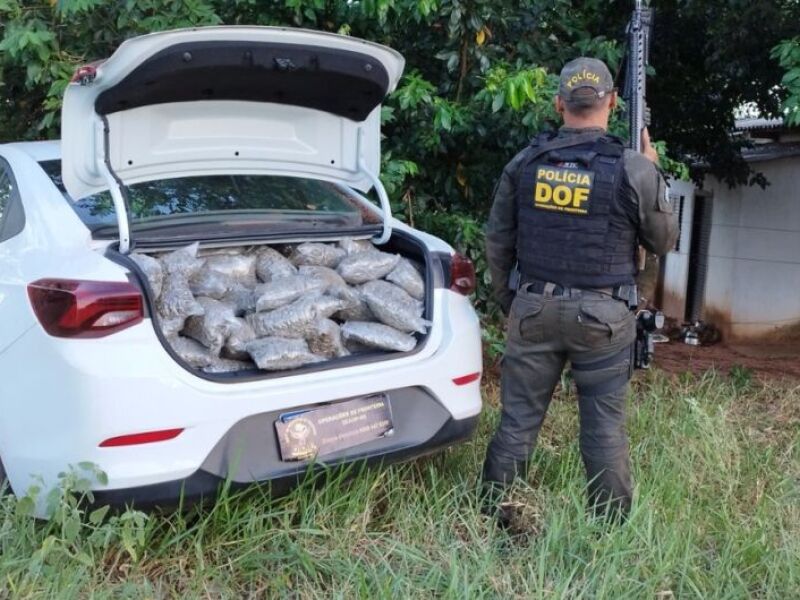 Jd Tv Traficante Foge Da Pol Cia Em Alta Velocidade Bate Em Barranco