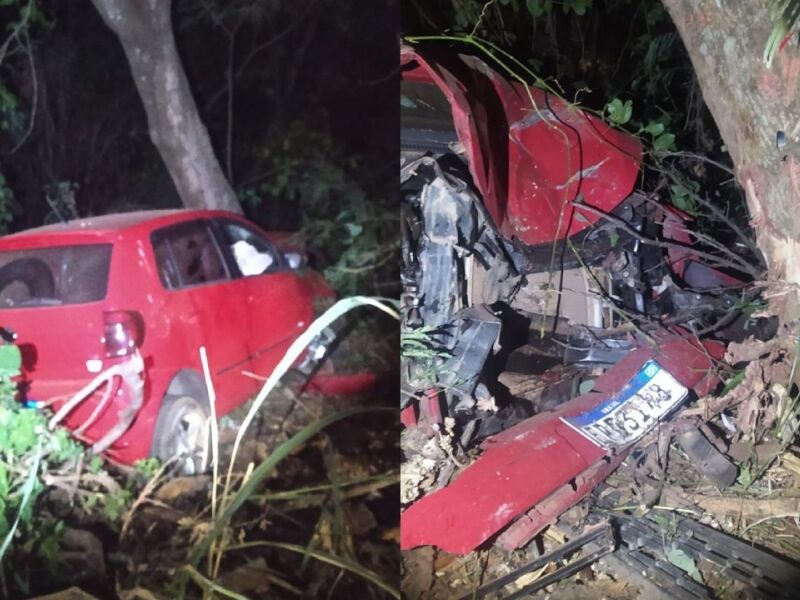 B Bado Motorista Sai Da Pista Ao Fazer Curva E Acerta Rvore Em Costa