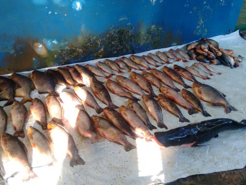 Duas Pessoas Autuados Por Pesca Predat Ria Ilegal Jd Not Cias