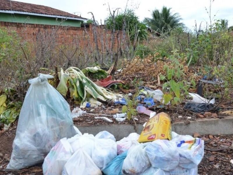 Donos De Terrenos Baldios S O Notificados Por Falta De Limpeza Jd