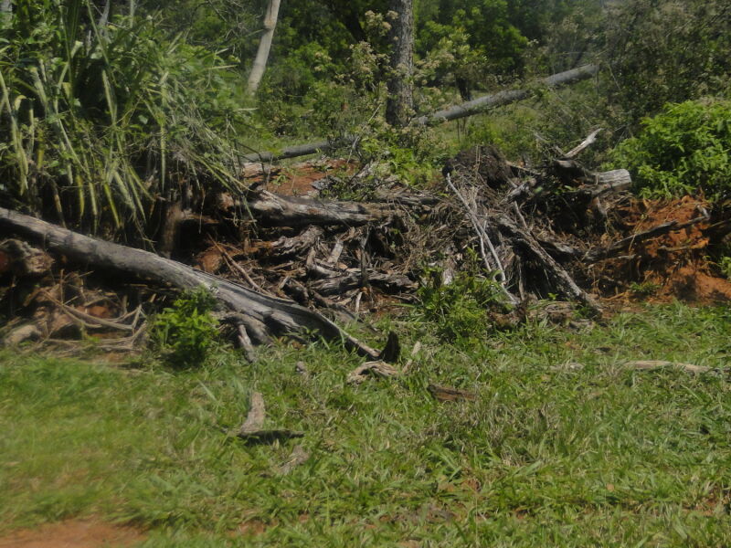 PMA autua mais um pecuarista por desmatamento ilegal durante a operação