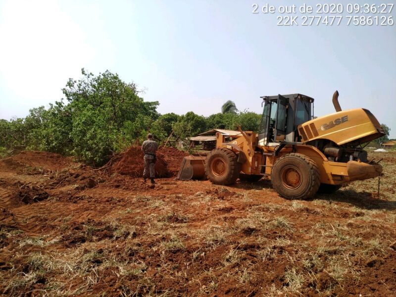 Pma Autua Arrendat Ria Em R Mil Por Explorar Hectares De Rvores