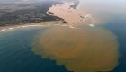 Pesquisadores encontram metais tóxicos em peixes do Rio Doce em Mariana