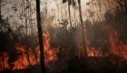 Ministério Público investiga incêndios no Pantanal sul-mato-grossense