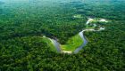 Floresta amazônica está ameaçada