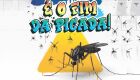Campo Grande organiza nas escolas mais um 'Dia D' contra a dengue