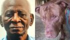 JD1TV: Vídeo mostra idoso agonizando após ser atacado enquanto alimentava pitbull