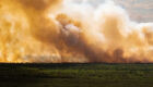 Fogo se espalha durante incêndio no Pantanal, em Corumbá (MS)