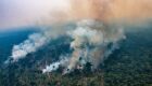 Brasil teve mais de 22 milhões de hectares atingidos pelo fogo até setembro