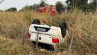 Um dos motoristas chegou a atropelar a capivara