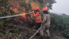 Incêndios florestais em MS