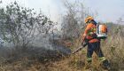 Operação Pantanal: Foco de incêndio aparece na rodovia MS-215 em Pedro Gomes