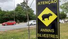 Lei institui "Campanha Permanente Cuidar + dos Animais Silvestres" na Capital