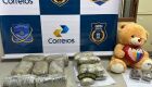 Drogas foram apreendidas na unidade dos Correios de Campo Grande