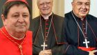 Sete brasileiros estão entre os cardeais que escolherão próximo papa