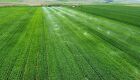 Política Nacional de Irrigação tem se consolidado como instrumento que fortalece a infraestrutura agrícola no país