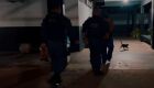 Ele desrespeitou a medida protetiva e foi preso