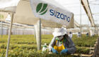 Suzano oferta vagas em Brasilândia, Ribas do Rio Pardo e Três Lagoa