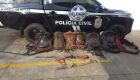 Homem que se apropriou de lote de gado é preso em Campo Grande