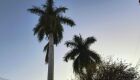 Tempo amanheceu bem gelado em Campo Grande