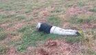 Com marcas de tiros pelo corpo, homem é encontrado morto em terreno da fronteira