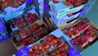 Alta procura gerou aumento no preço da fruta