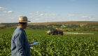 Foto: Divulgação/BASF