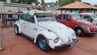 Encontro de Carros Antigos movimenta Campo Grande neste sábado