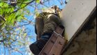 Bombeiros resgatam filhotes de gato nascidos no telhado de casa em Corumbá