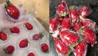 Febre do momento, "morango do amor" impulsiona vendas de doceiras na Capital