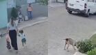 JD1TV: Mães e crianças ficam feridas após episódio com pitbull a caminho da creche