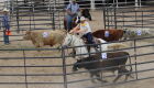Campo Grande sedia primeira etapa do Campeonato Estadual de Ranch Sorting