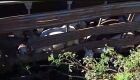 JD1TV: Carreta carregada com bois tomba às margens da BR-262, em Miranda