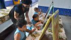 Assistente de educação infantil