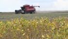 Mato Grosso do Sul dá largada à safra de soja 25/26 com previsão de recorde na produção
