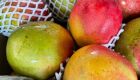 Manga foi uma das frutas que ficaram baratas