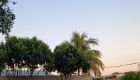 Dia amanheceu sem nuvens em Campo Grande