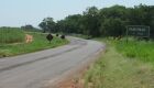 Rodovia MS-141 em Navira&iacute;