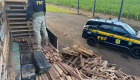 Agentes localizaram v&aacute;rios fardos de maconha ocultos sob paletes