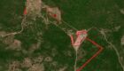 MP firma TAC após desmatamento ilegal de quase 100 hectares no Pantanal