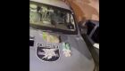 Drogas apreendidas pelos policiais
