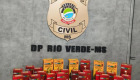 Fogos de artíficios apreendidos