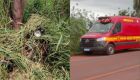 Foto: Corpo de Bombeiros Militar