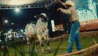 O leil&atilde;o foi realizado pelo produtor rural Lino Alexandre Vieira Ortiz