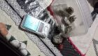 Drogas apreendidas pela pol&iacute;cia