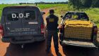 Drogas estavam em uma pickup abandonada