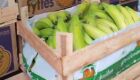 Frutas eram desviadas da empresa